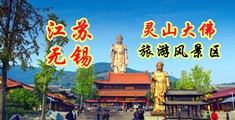 wwww操骚逼江苏无锡灵山大佛旅游风景区